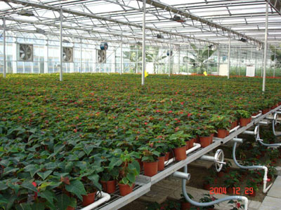 溫室具備哪些育苗設(shè)備，可加快蔬菜產(chǎn)業(yè)現(xiàn)代化進程？