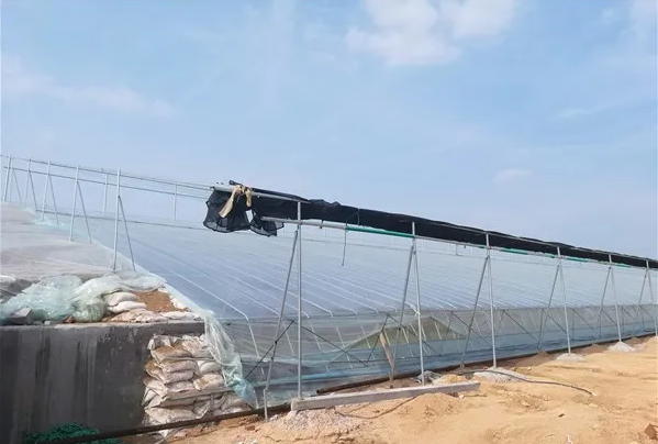 溫室大棚如何覆膜？