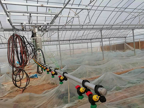 如何防 治溫室育苗的常見(jiàn)病害？